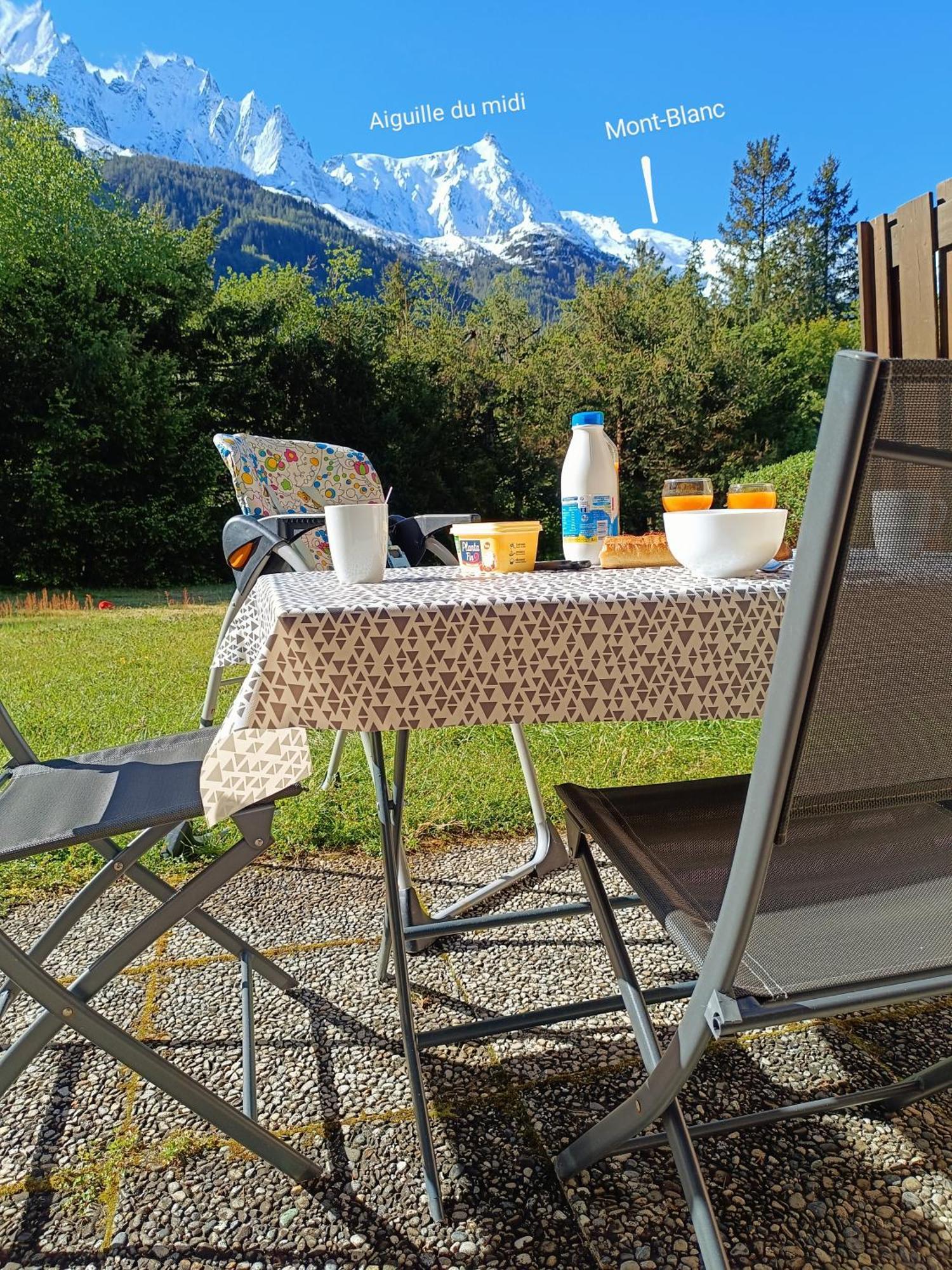 Appartement Chamonix Montblanc 1 A 4 Personnes Eksteriør bilde